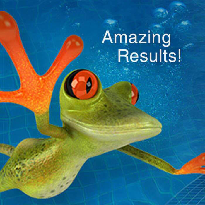 Bullfrog Pool Tile Cleaningnull
